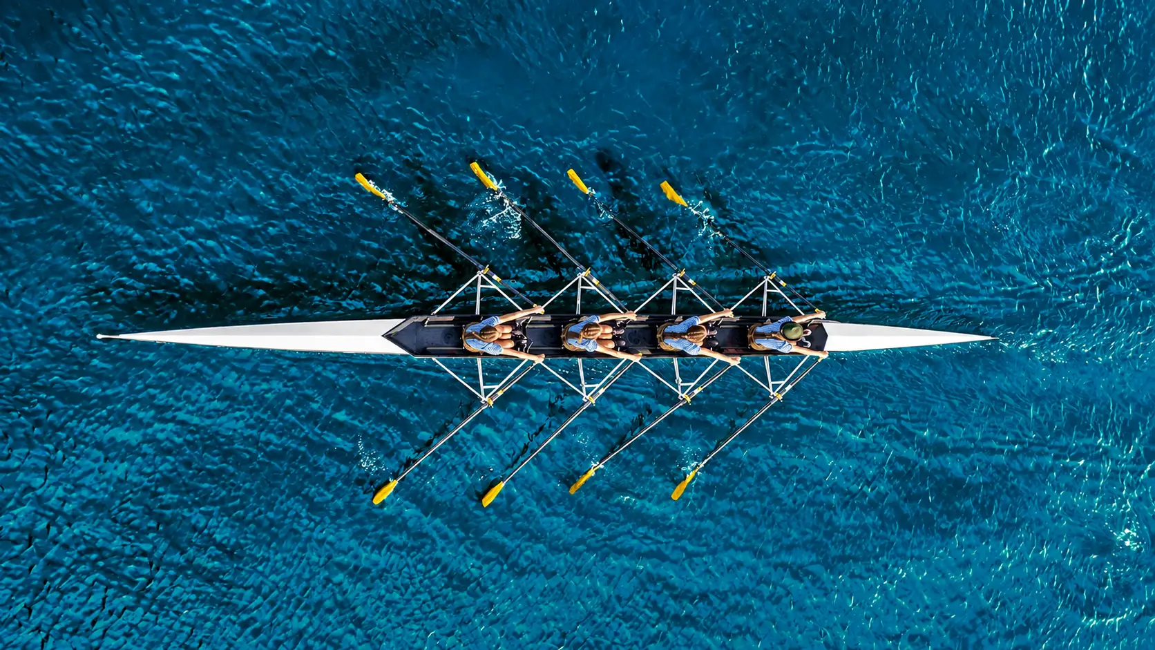 A rowing crew moving in unison, seen from above.